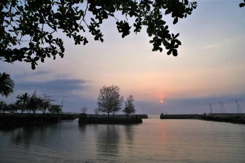 Bintang Laut Resort