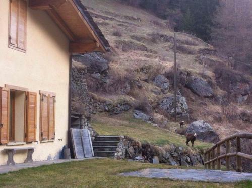 Apartamento La Casa Degli Angeli