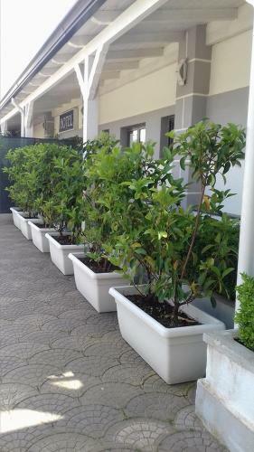 Hotel Le Pin�de