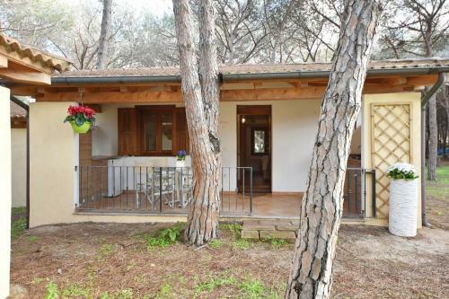 Is Arenas Camping Village