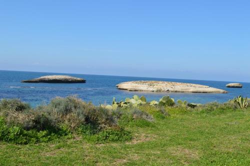 Apartamento Su Entu