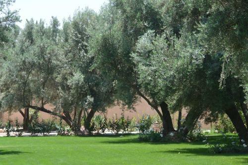 Riad Le Jasmin