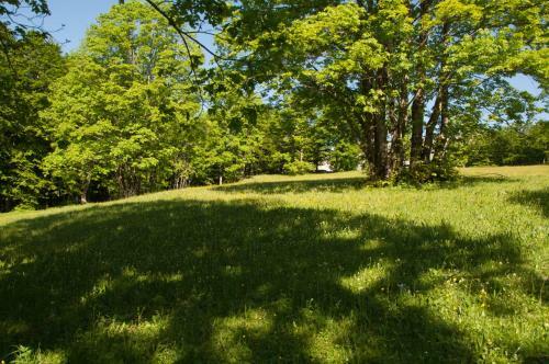 Villa Green Forest
