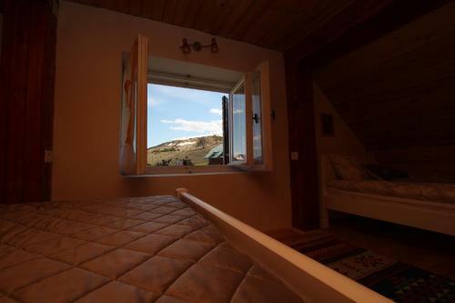 Macondo House