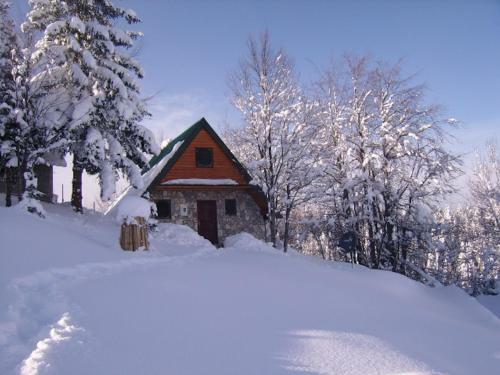 Lodge Durmitor Bungalows