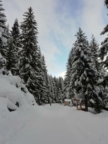 Chalet Kova?evi?
