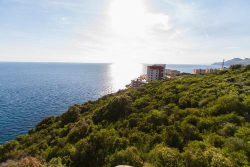 Hostal Guesthouse Oaza Emi