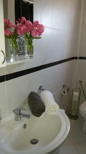 Apartment Dilen