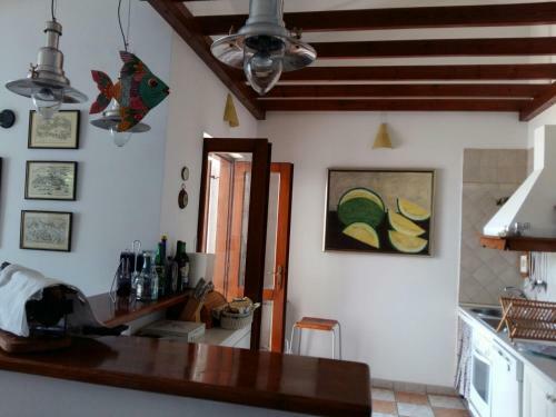 Apartment Savina