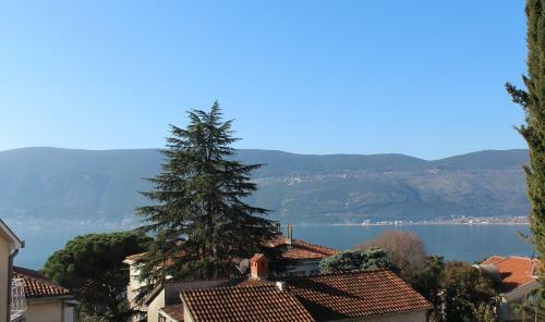Apartment Tomanovic