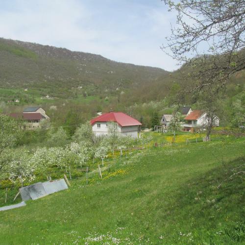 Apartment Mitric
