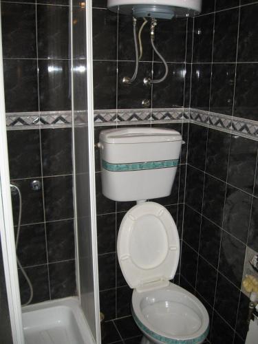 B&B Apolon