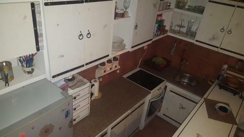 Apartment Rustic House Radovici