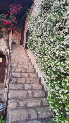 Apartment Rustic House Radovici