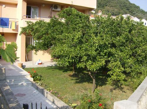 Hostal Guesthouse Lautasevic