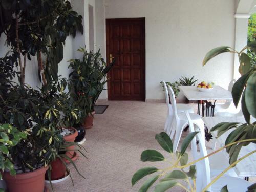 Apartments Papan