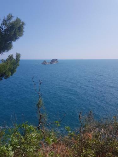 Apartamenti Enjoy