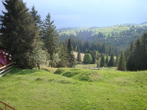 Hostal Panorama Karpat Yablunytsya
