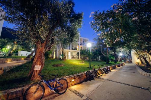 Hotel Vile Oliva