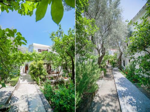 Apartamentos Rooms Garden