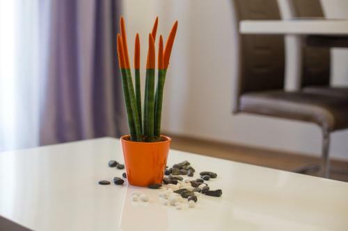 Apartamentos Villa Sandra