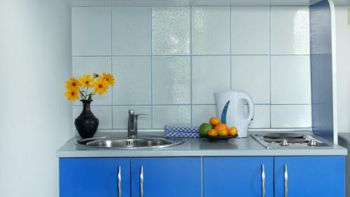 Apartments Villa Slavica