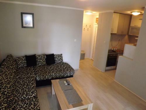 Apartment Cetkovic