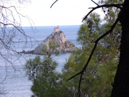 Apartments Almaja Villa