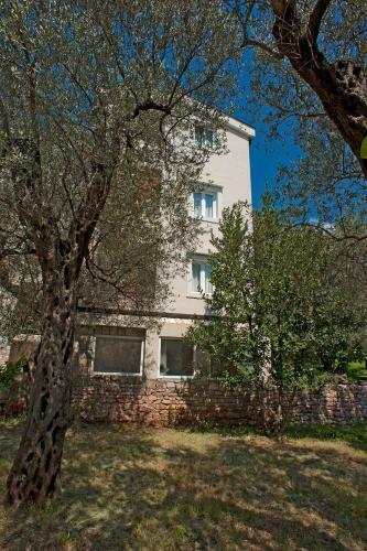 Hostal Guest House Maslina