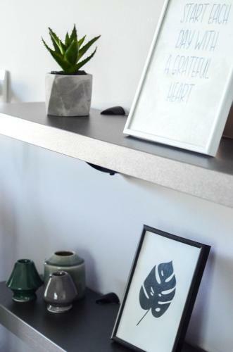 Premium-designed Apartments