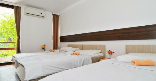Hotel Kamelija