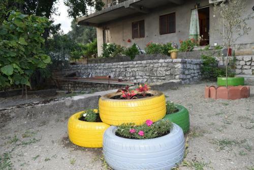 Apartment Gasparini Tripovici