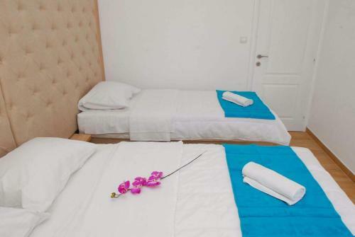 Apartments Kuc