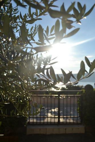 Tivat Beachfront Apartment