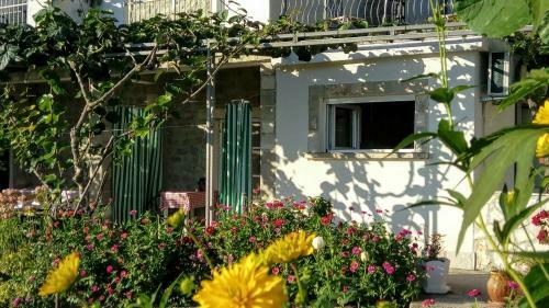 Apartmani Bosco