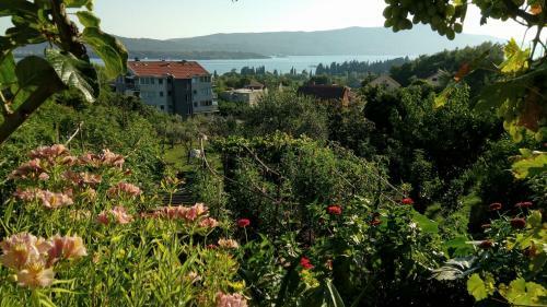 Apartmani Bosco