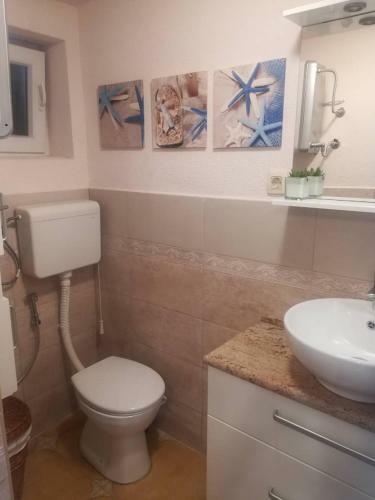 Apartamento Oli