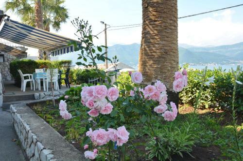 Boka View Apartments