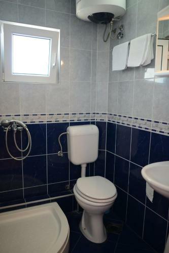 Apartments Vila Lazarevic