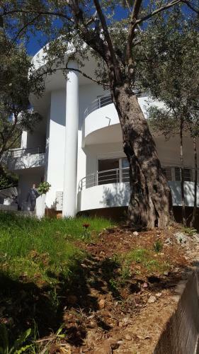 Apartments Sirena