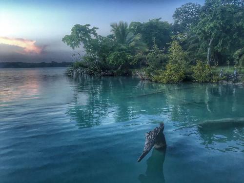 Lodge Jard�n De Palmira