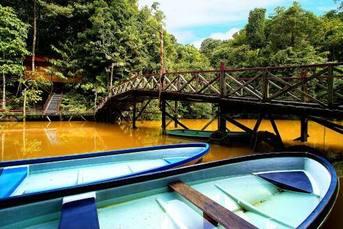 Hotel Borneo Tropical Rainforest Resort