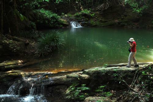 Hotel Borneo Tropical Rainforest Resort