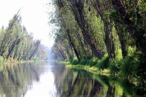 La Quinta De Xochimilco