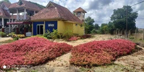 Hotel Iz Village