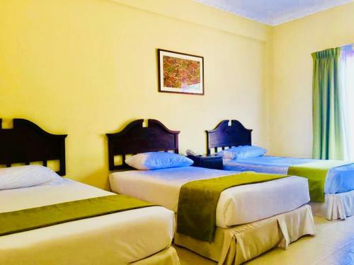 Hotel ?rya By Suria Merang