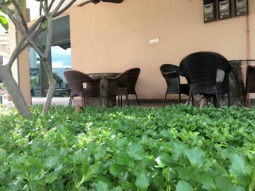 Hostal Marina Oriental Hotel