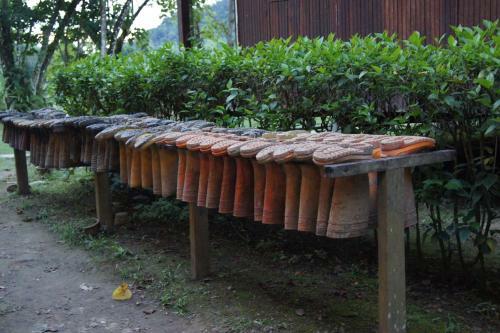 Nature Lodge Kinabatangan