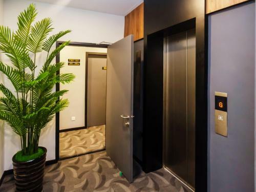 Solid Hotels