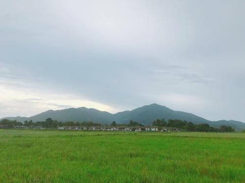 Mountain View Private Chalet